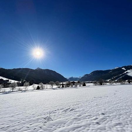 Haus Vogelmuehle Apartment Flachau Bagian luar foto