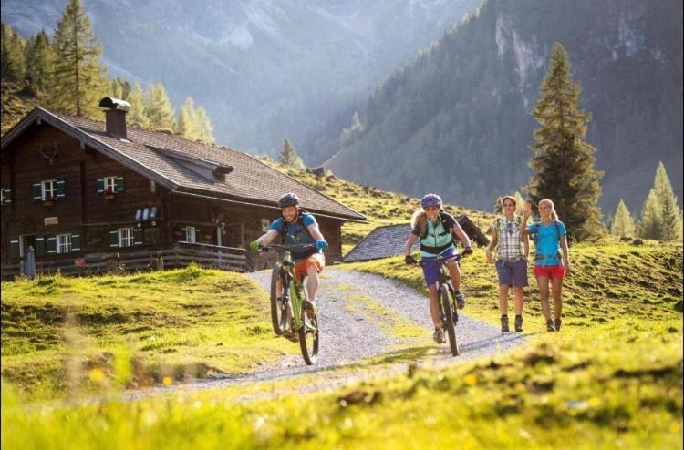 Haus Vogelmuehle Apartment Flachau Bagian luar foto